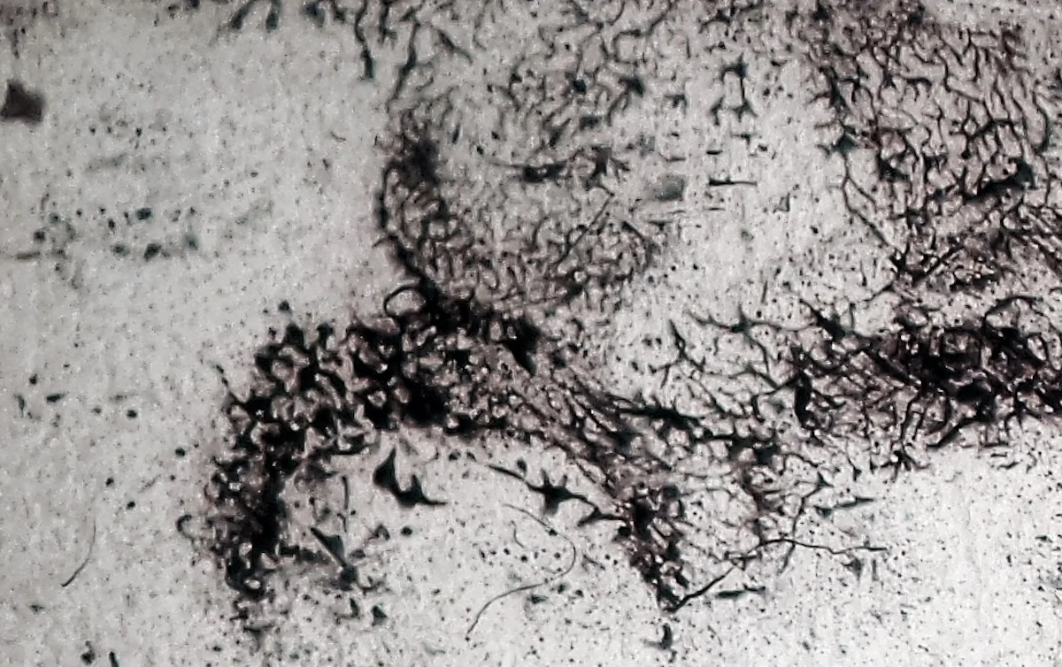 43 , Photographic series 3/5, paper, acetate, ink, variable size, 2014