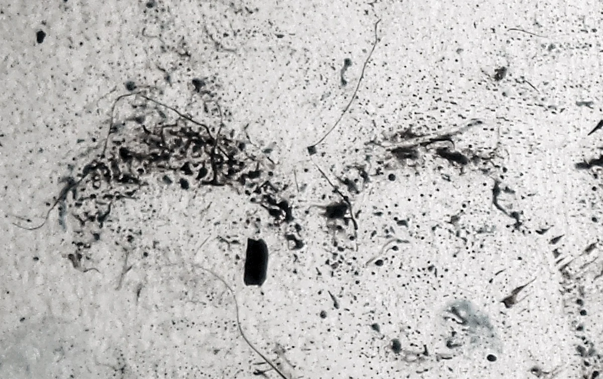 43 , Photographic series 1/5, paper, acetate, ink, variable size, 2014