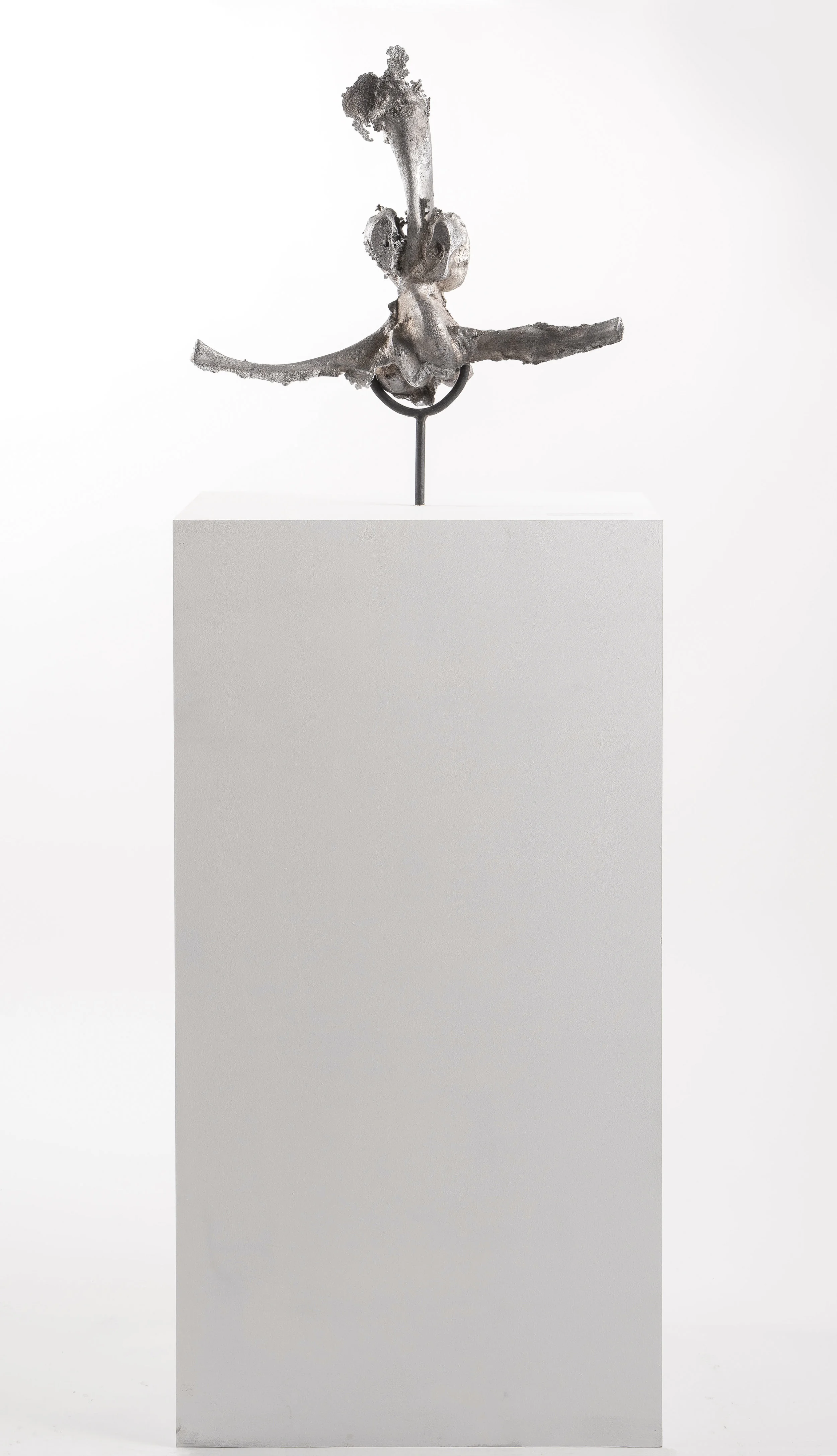 Untraceable Origin #58 , aluminum cast, wood, and steel, 30cmx40cmx170 cm, 2017