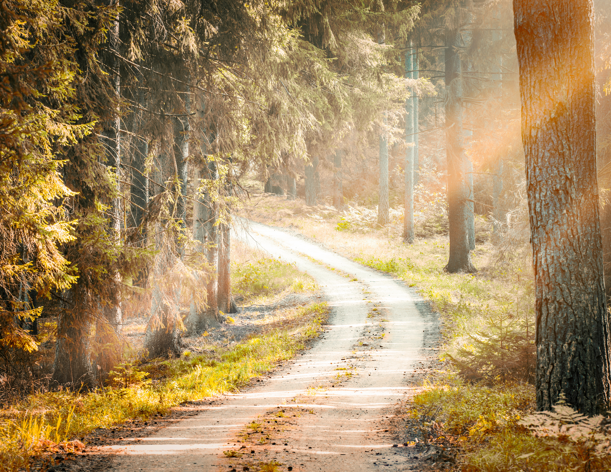 Untitled design - 3.png