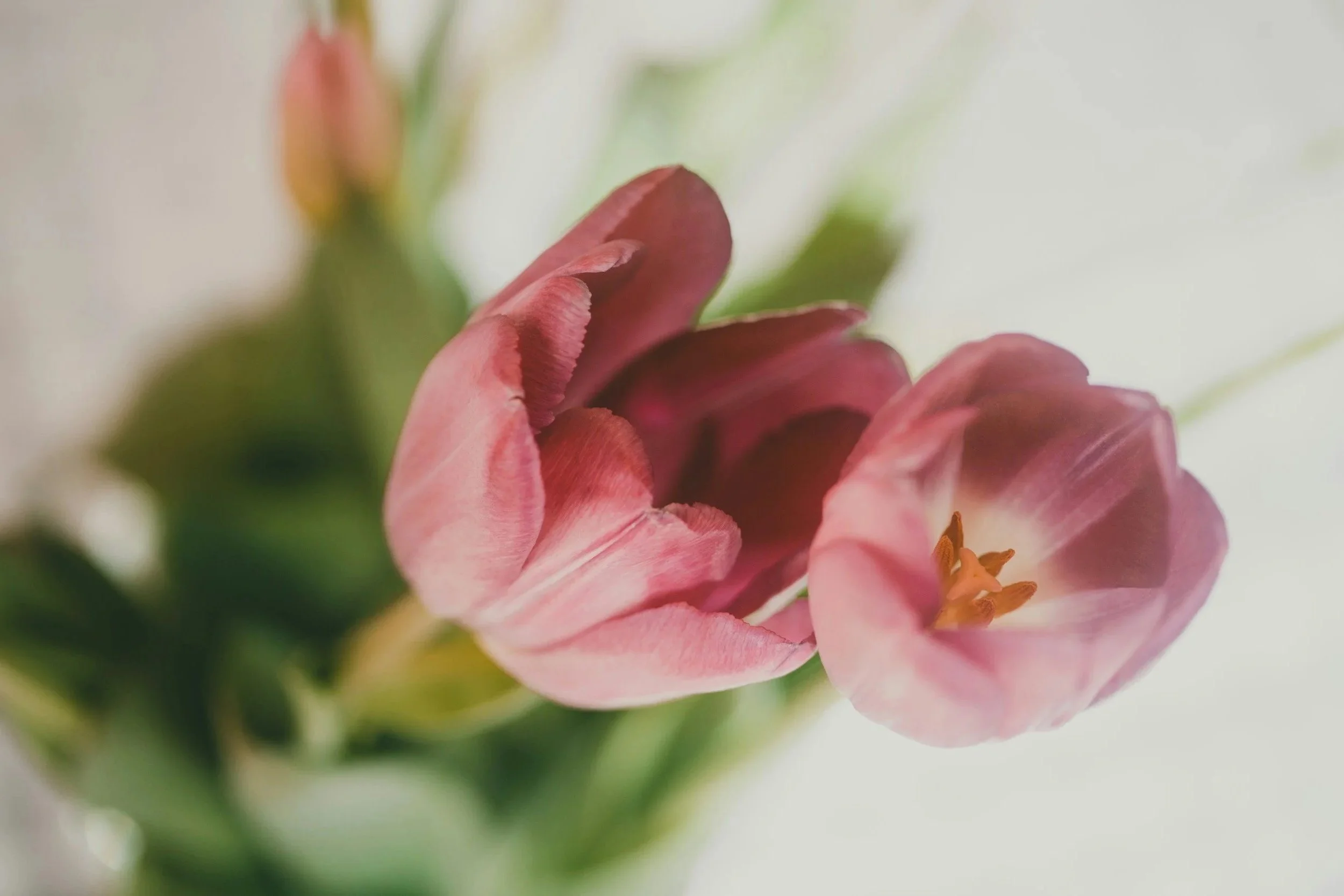 unsplash-image-ZOPiRE6o8io.jpg