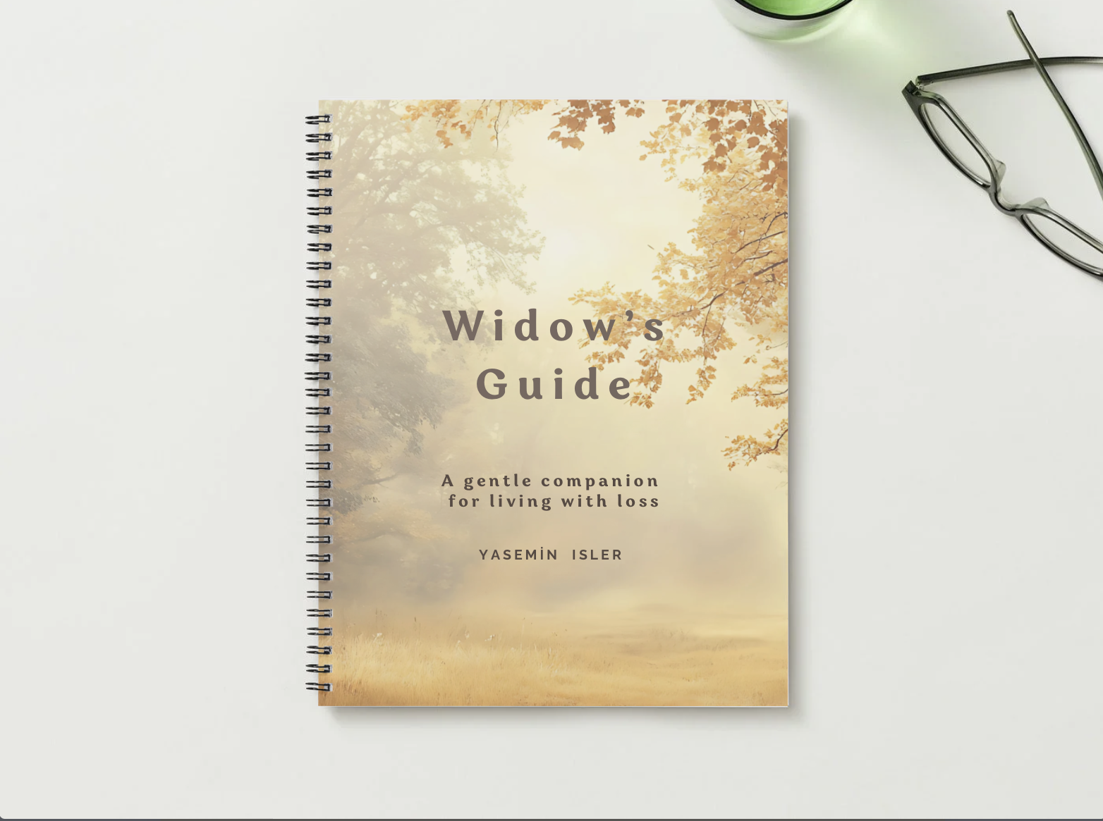 Widows Guide Yasemin Isler 1.png
