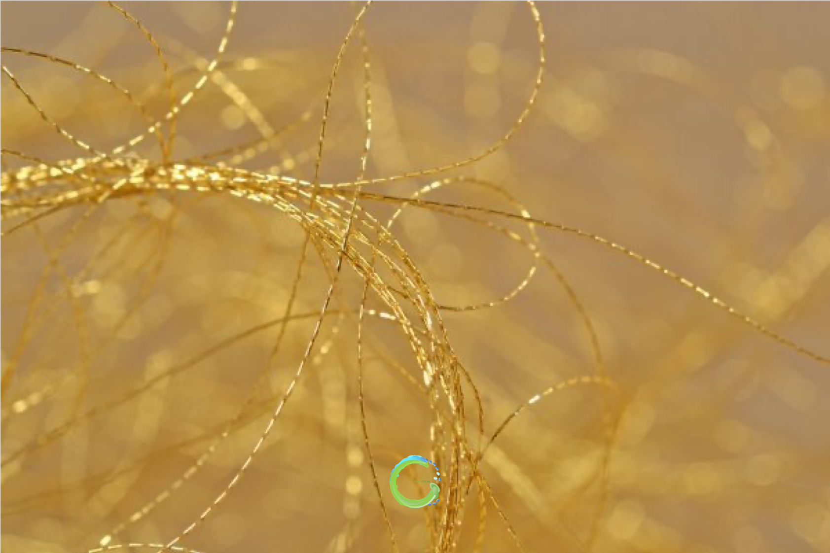 GoldenThread-GCLogo.png