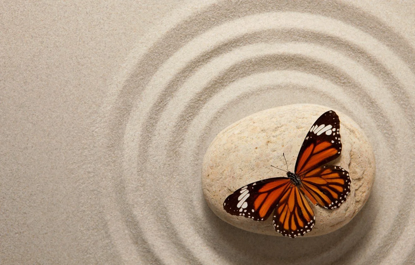 MCCG_GriefCircles_butterflySand.jpg