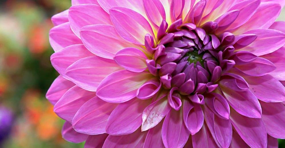 Mindfulness of AGING