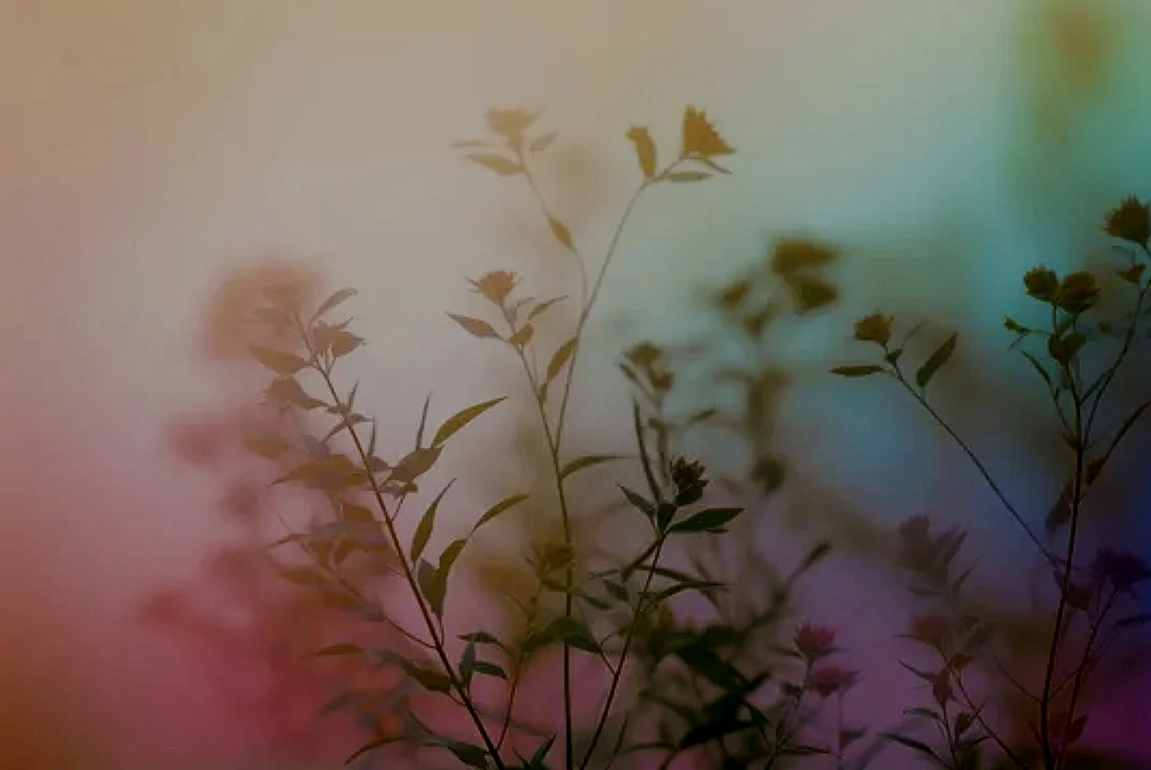 Healing_Grief_Mindfulness_Compassion_Part1_YaseminIsler.jpg