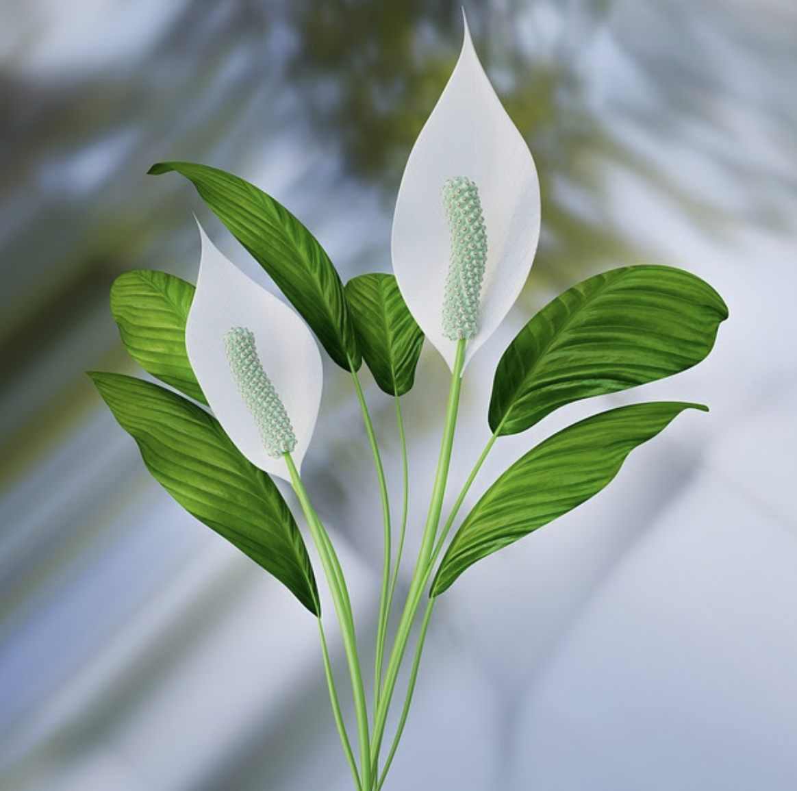 HealingGriefCirlce_CommunityGathering_YaseminIsler.png