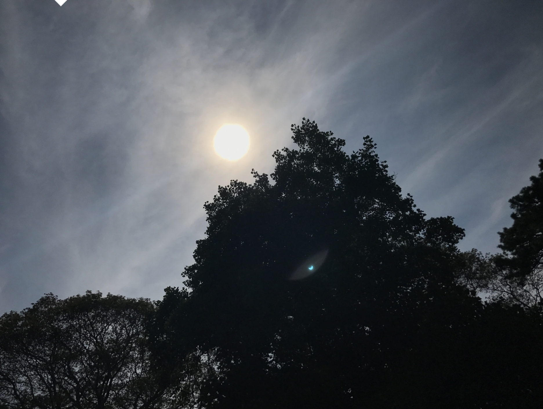 An Eclipse, a Child, Kindness of Strangers