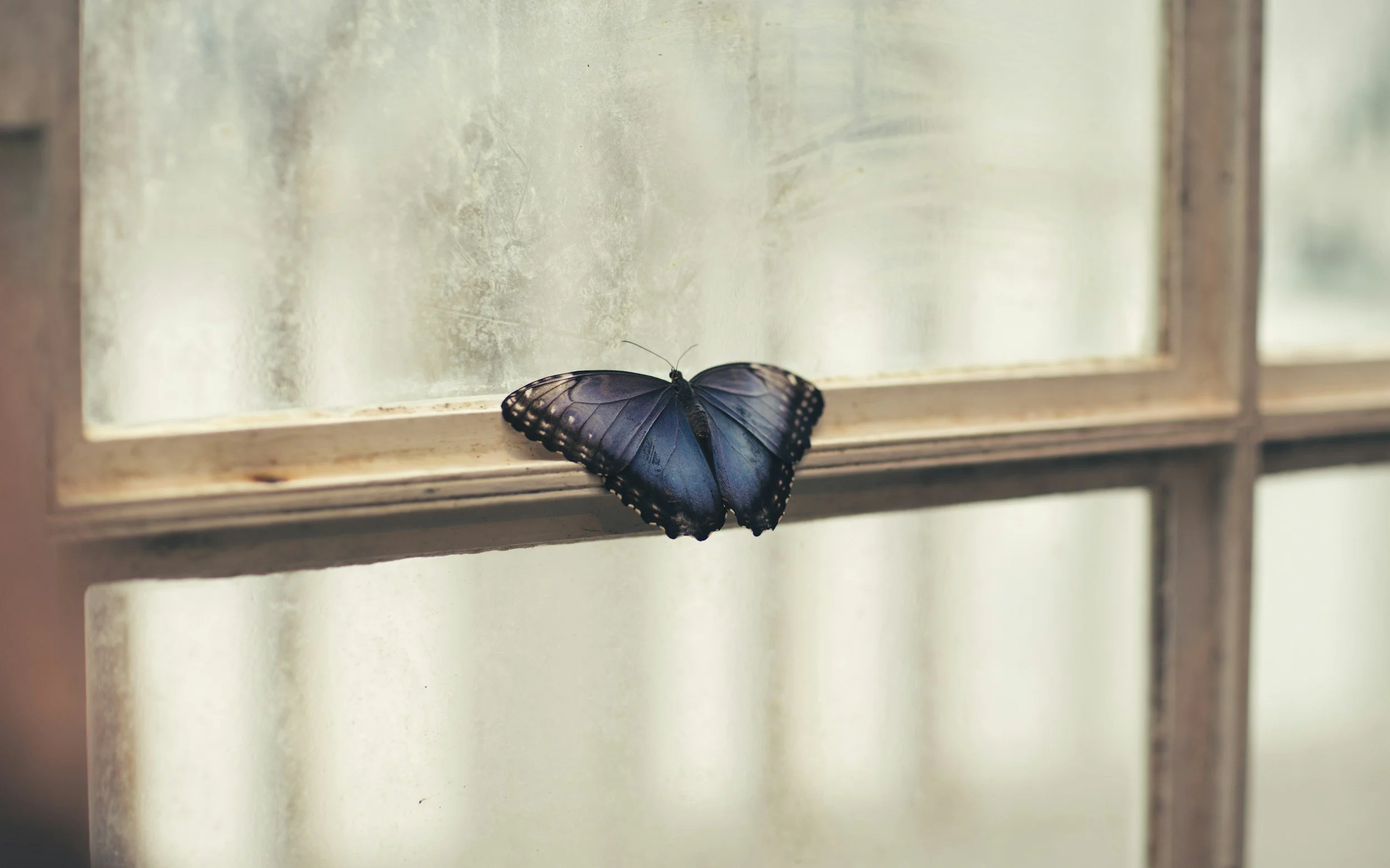 unsplash-image-y2yWnOkOUM0.jpg