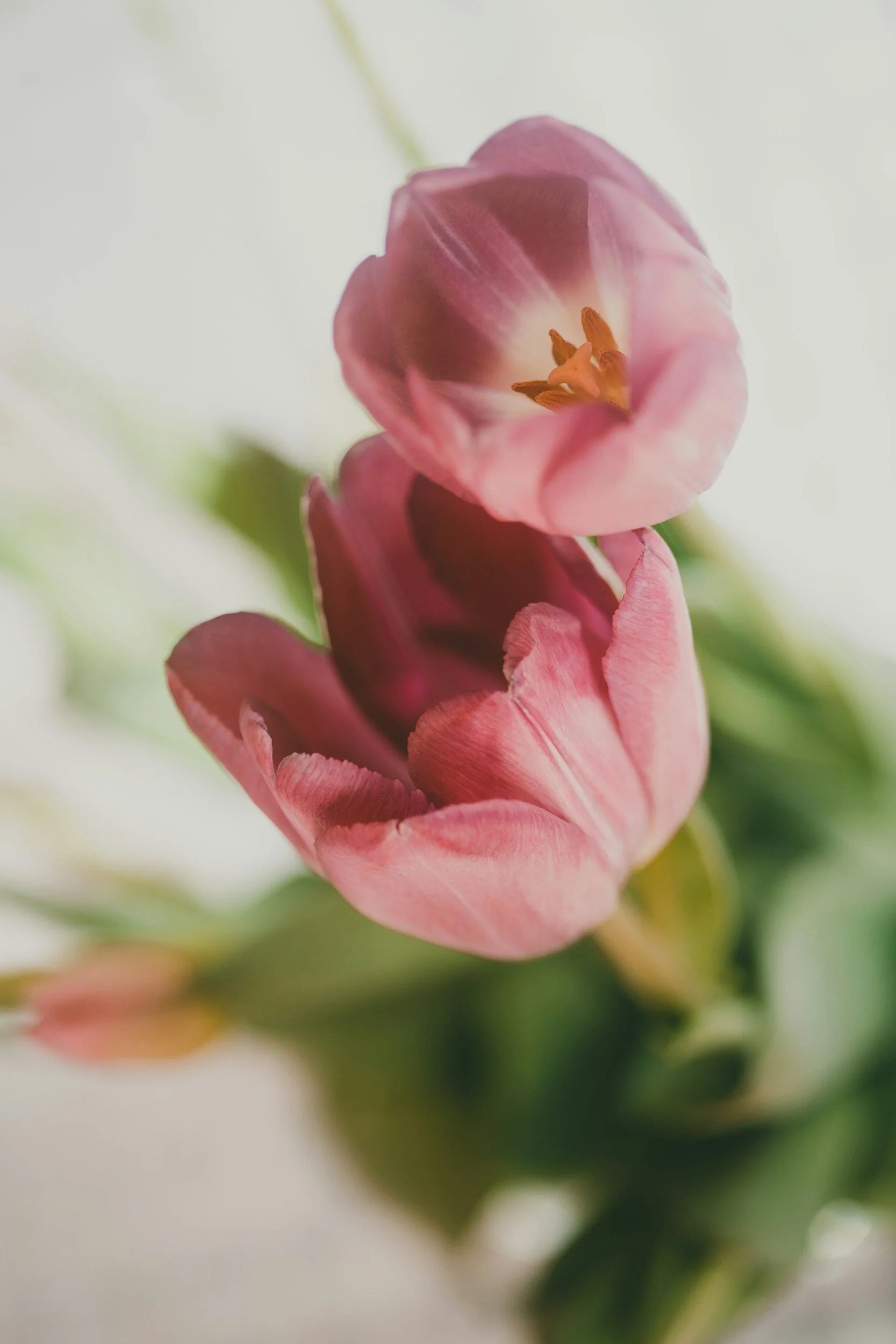 unsplash-image-ZOPiRE6o8io.jpg