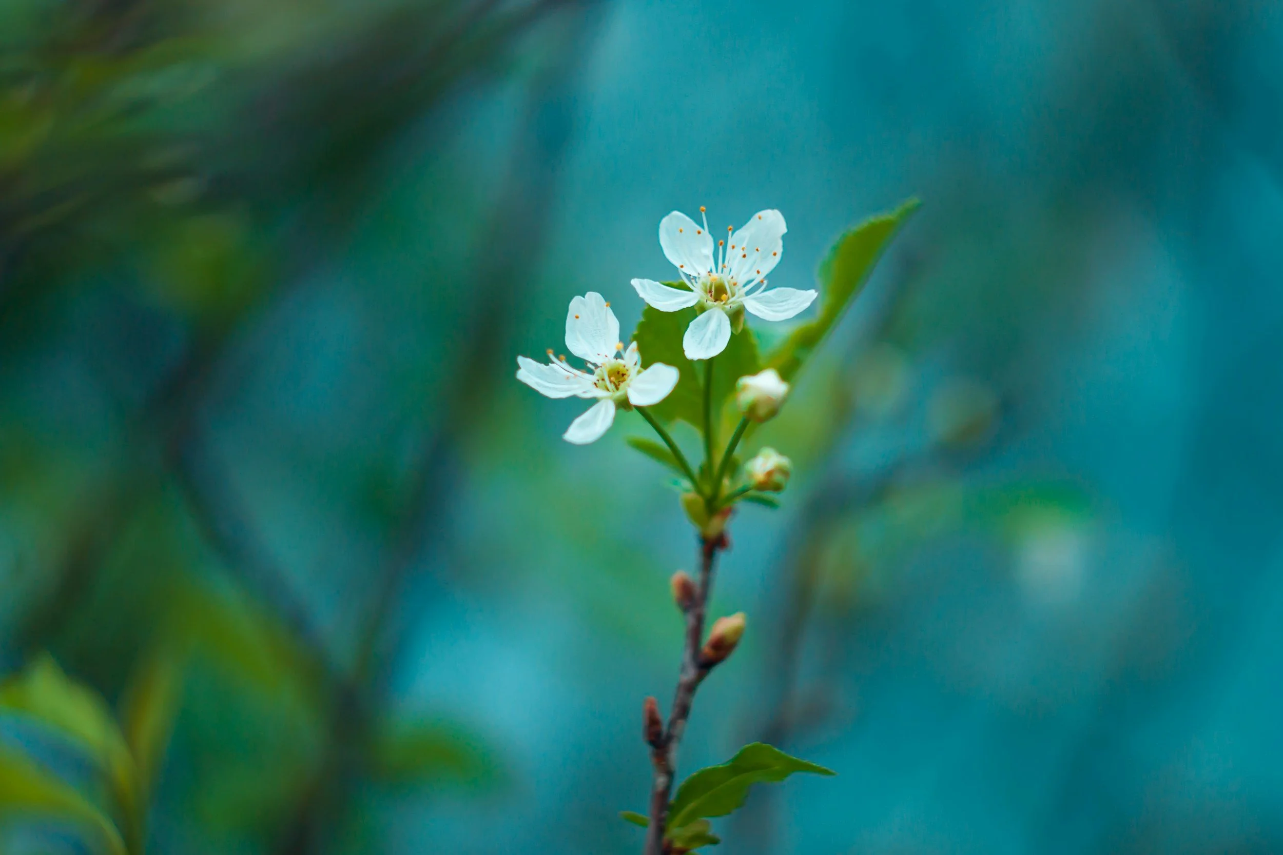 unsplash-image--6-l867S7Vg.jpg