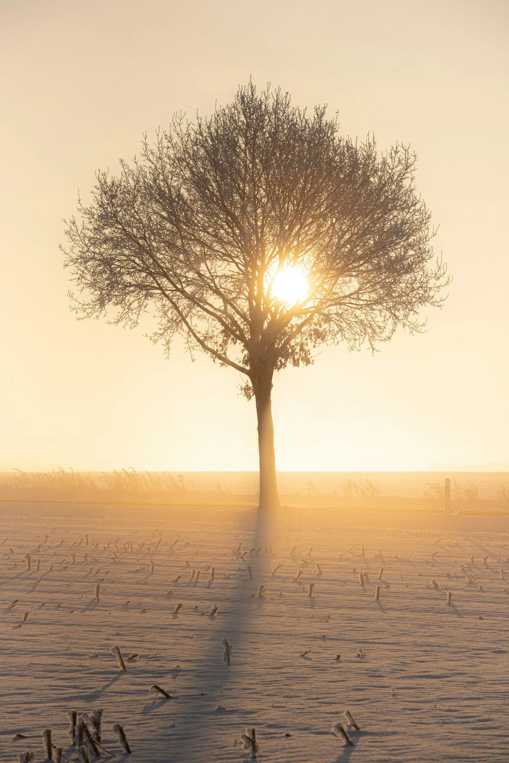 In the Chaos of Bodily Illness, I Realize I Am Healed