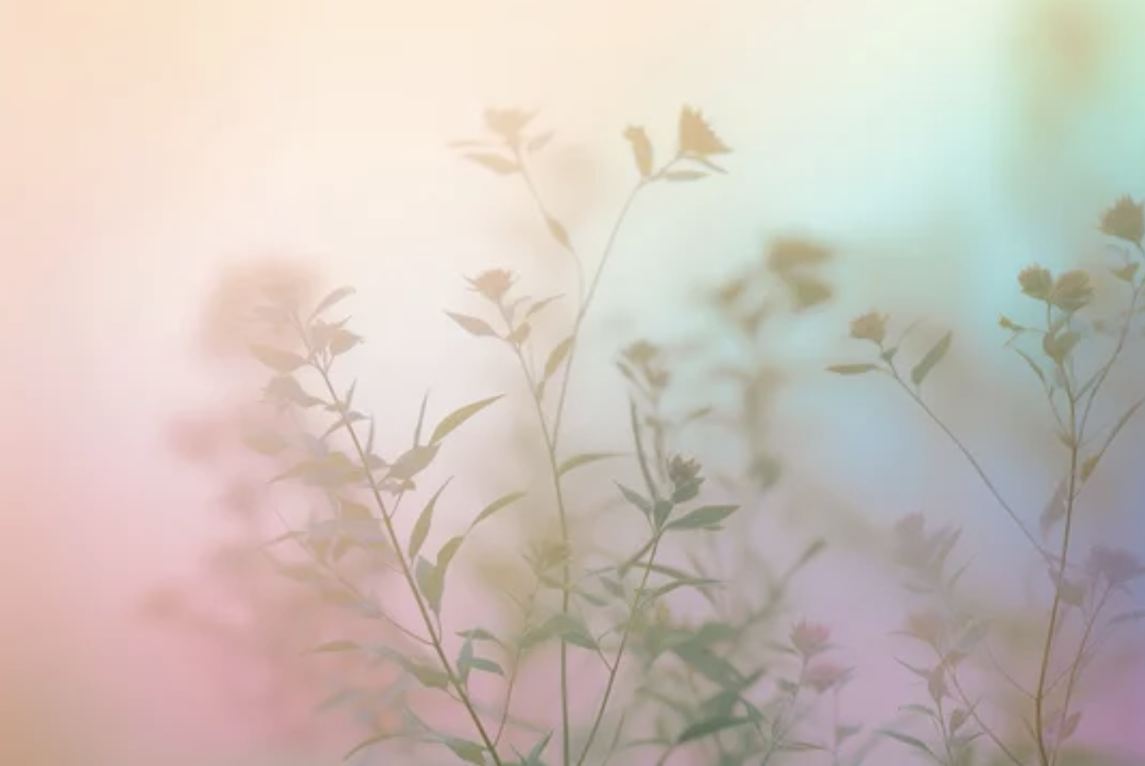 Healing_Grief_Mindfulness_Compassion_Part1_YaseminIsler.png