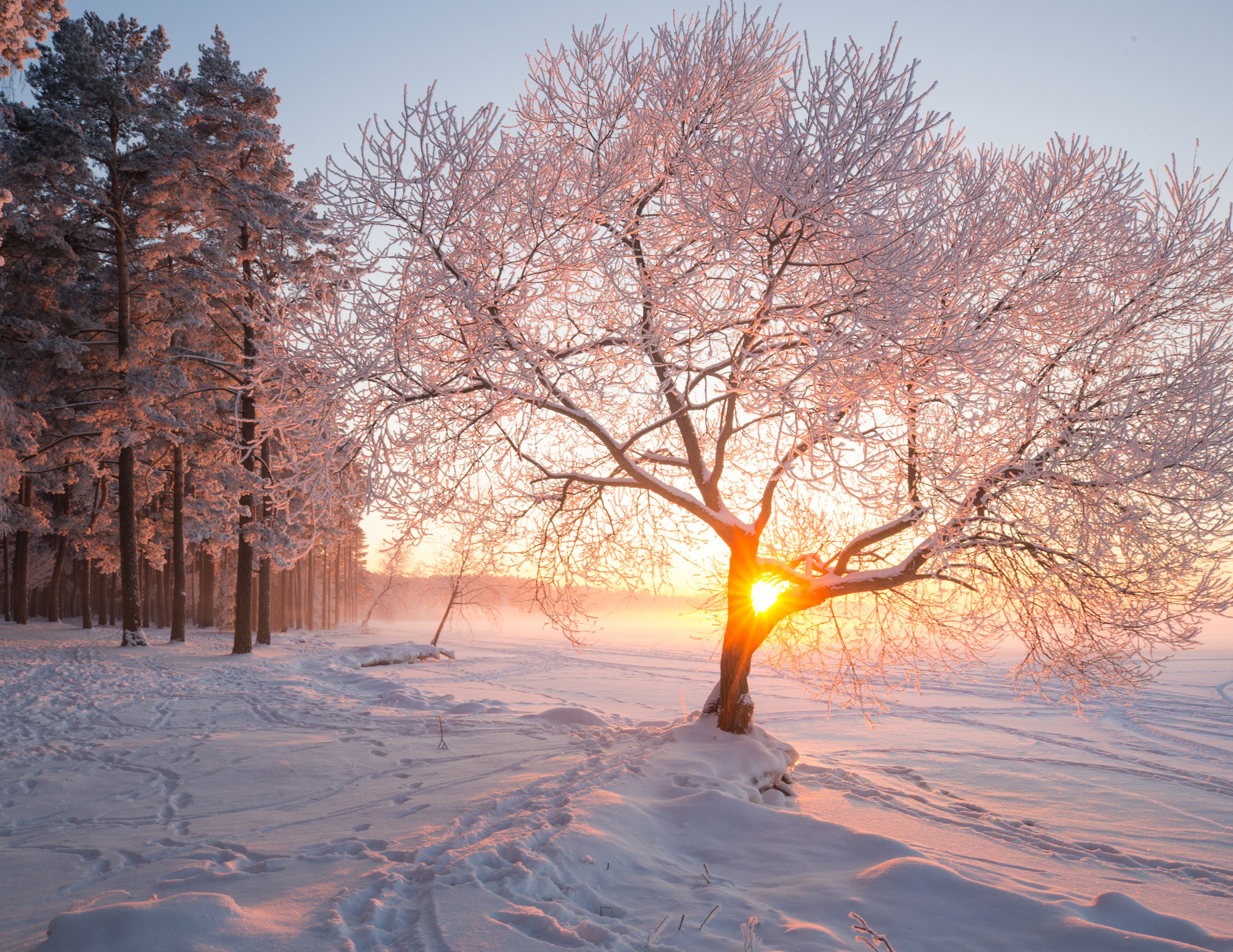 Untitled design - 10.png