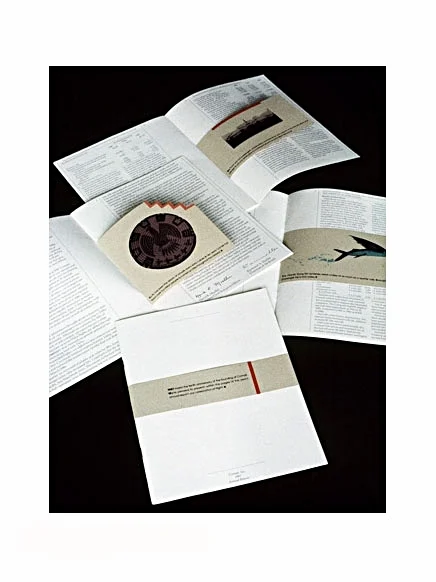 Comair Airlines Annual Report