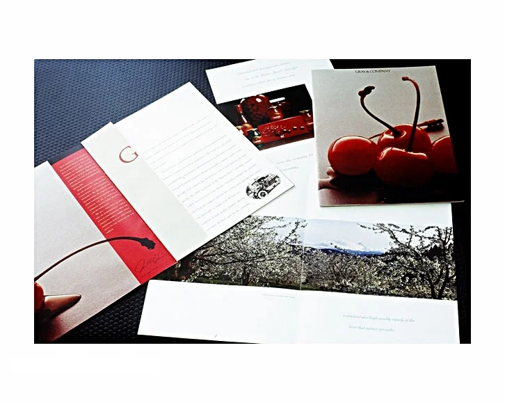 Gray & Company Corporate Brochure