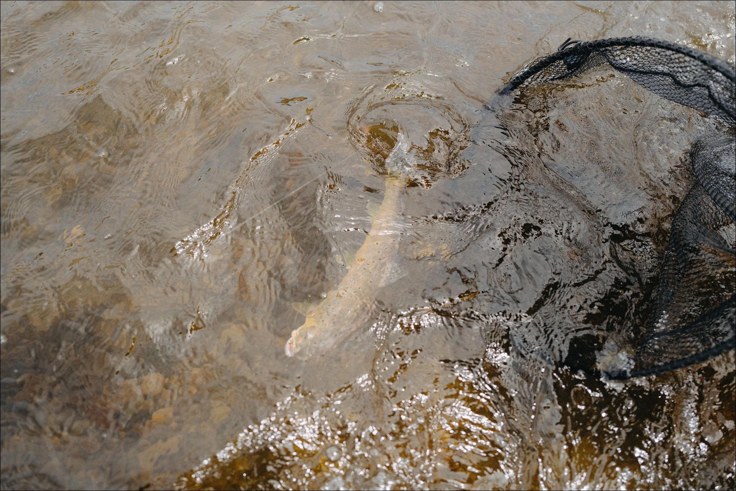 L1012096-Edit.jpg