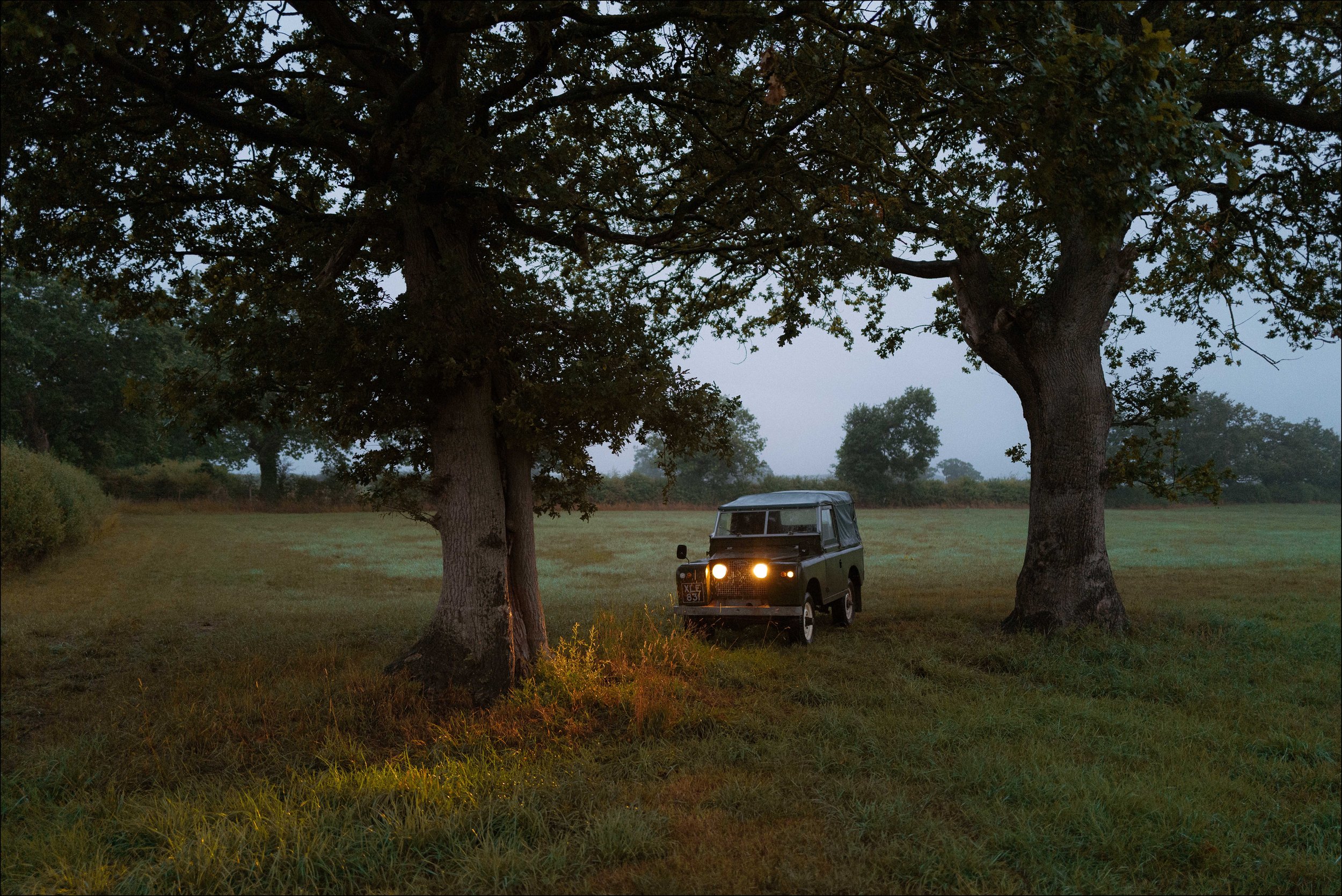 L1013465 copy.jpg