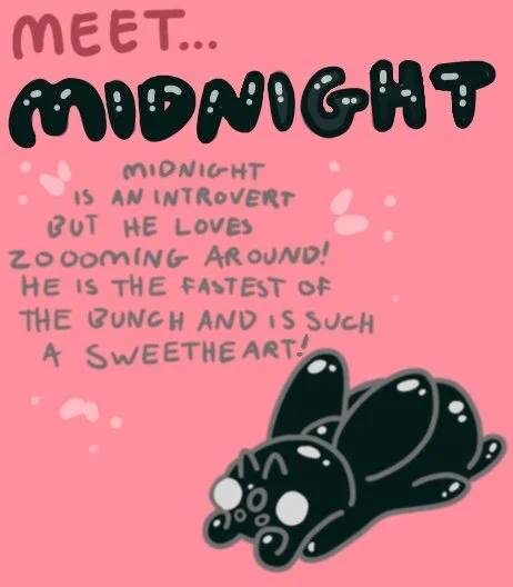 Untitled_Artwork 48.JPG