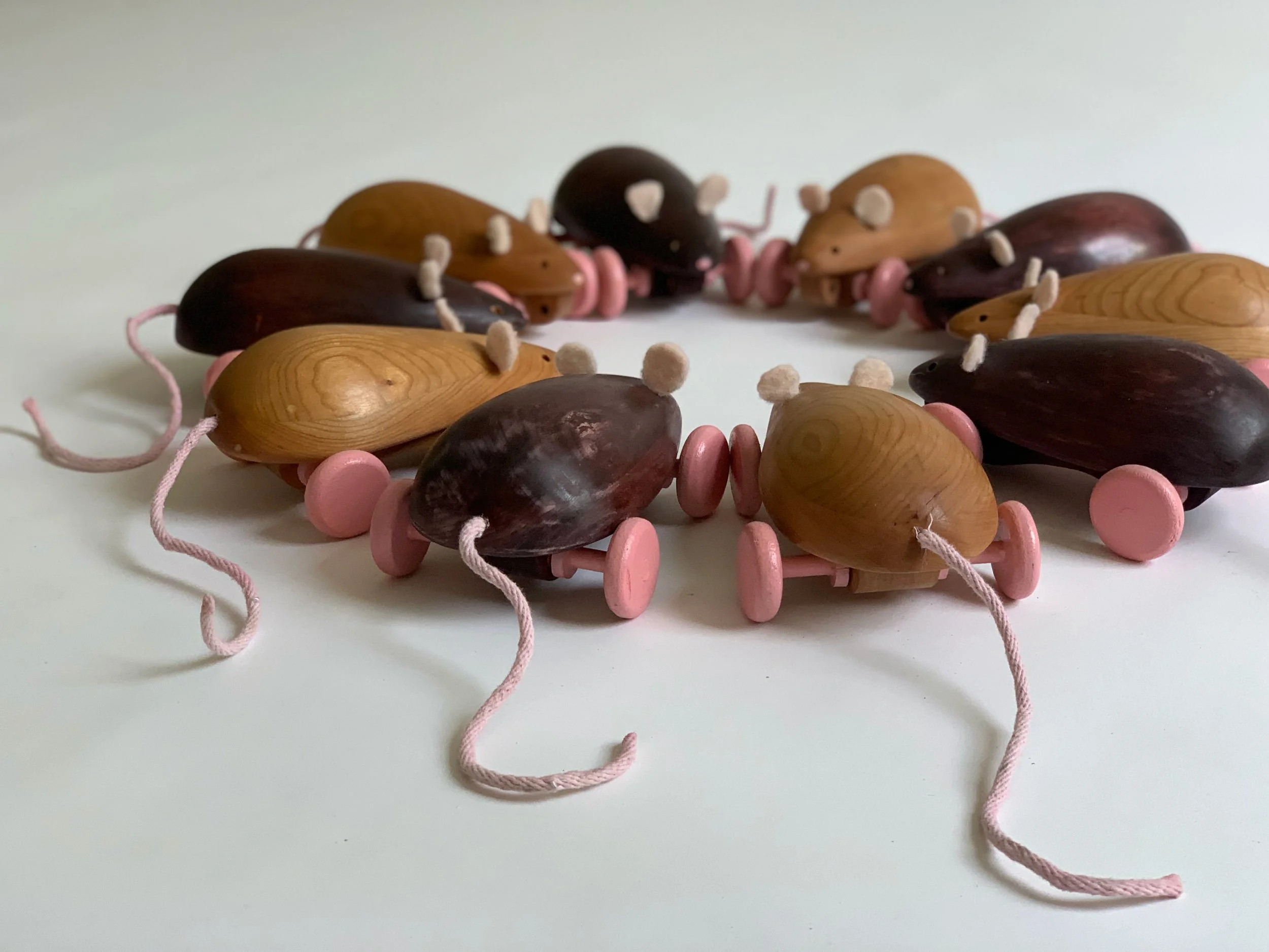 rats4.jpg