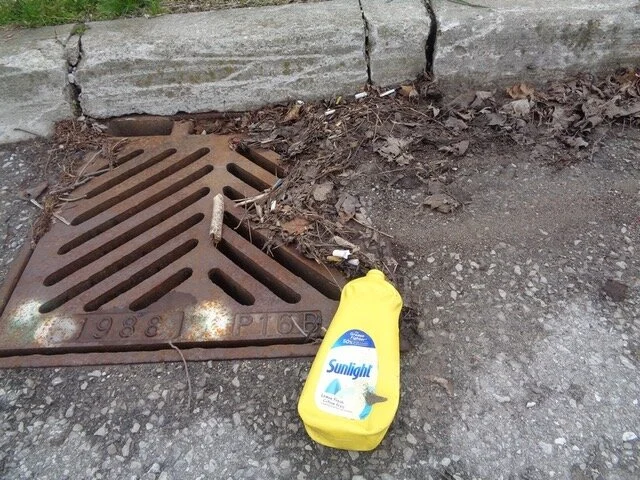 A New Poem: "The Future"