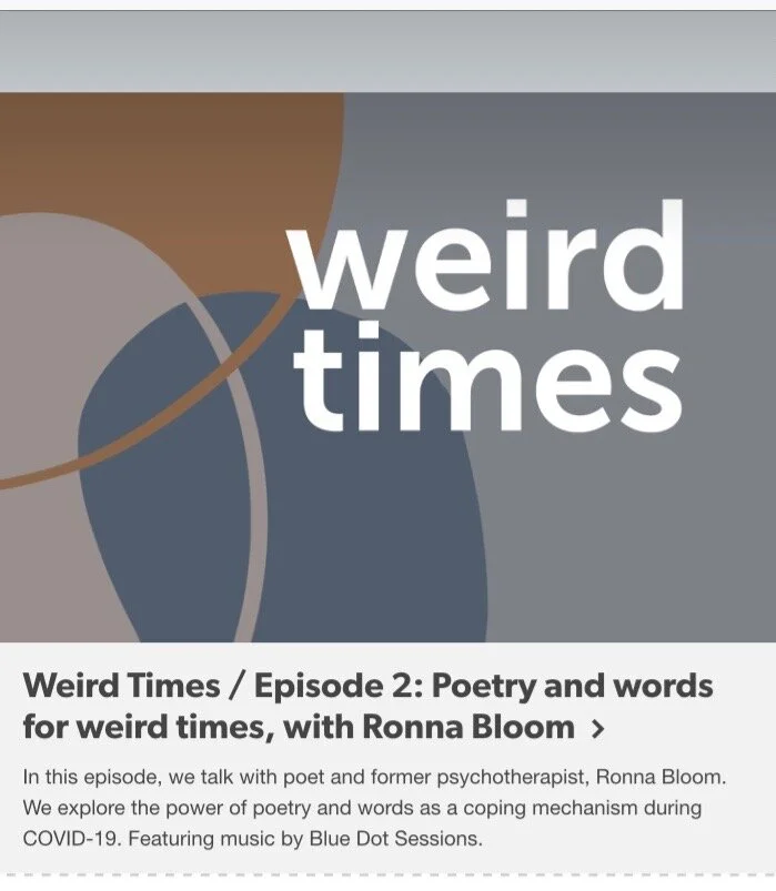 What does poetry do? A podcast with Ronna Bloom and the low cost counselling organization, Hard Feelings