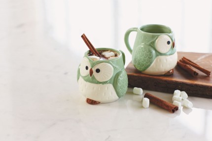 VivaTerra-Mint-Owl-Mugs-430x286.jpg