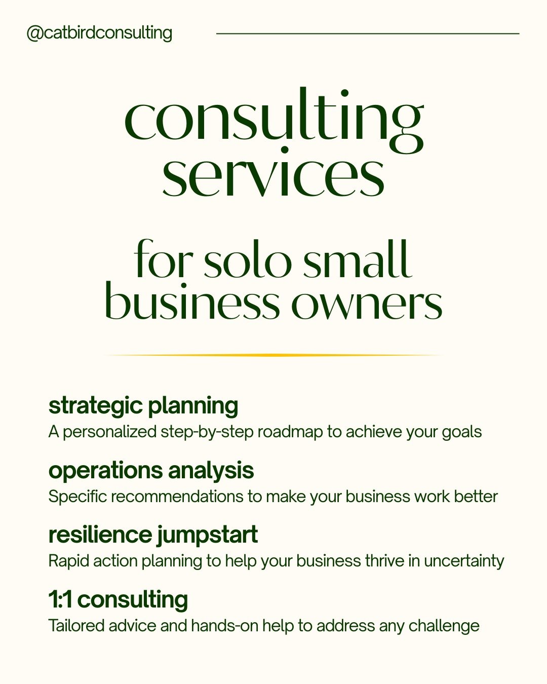 A complete guide to my services for solo small business owners, plus some kind words from my clients! All current pricing is on my website (link in bio).

As always, email or message me with any questions about me, my services, or anything else you&r