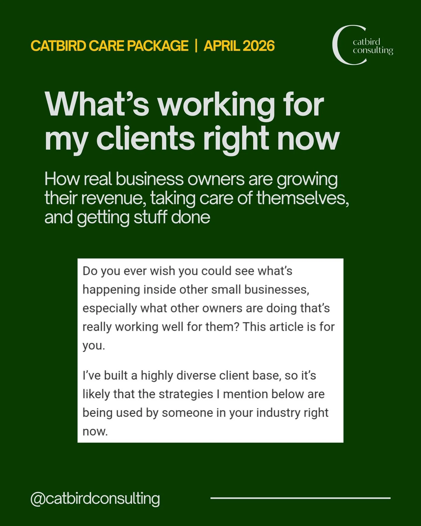 What&rsquo;s working for solo small business owners like you, right now 💪

In this month&rsquo;s Catbird Care Package:

💌 Strategies that are working for my solo small business owner clients right now

💌 A new report on how US small businesses are