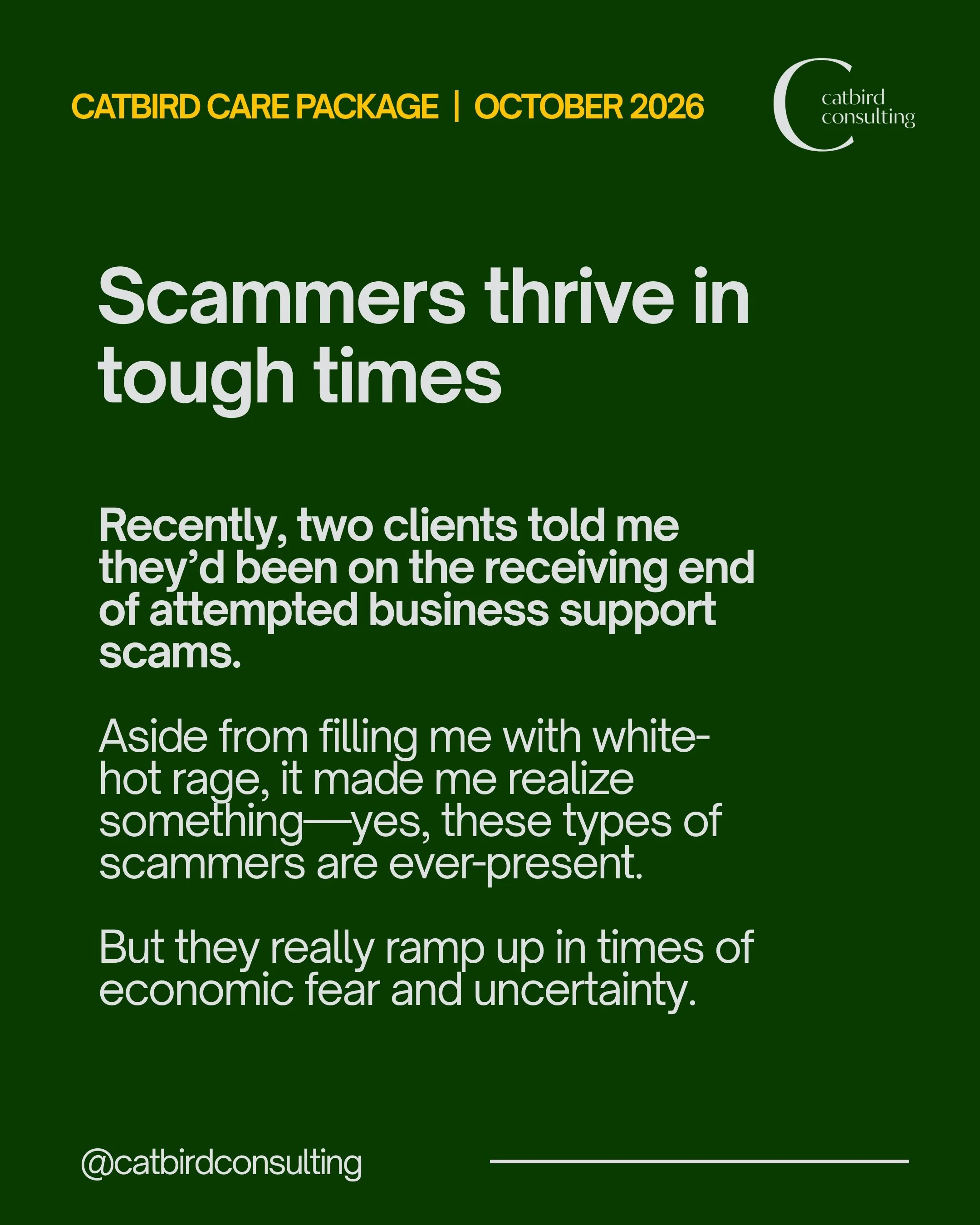 In this month&rsquo;s Catbird Care Package:

💌 Business scammers prey on fear and uncertainty&mdash;here&rsquo;s how to avoid them 🚩

💌 If you&rsquo;re DIY-ing your 2027 planning, you need this book

💌 Want to see 100 million pieces of kids&rsquo