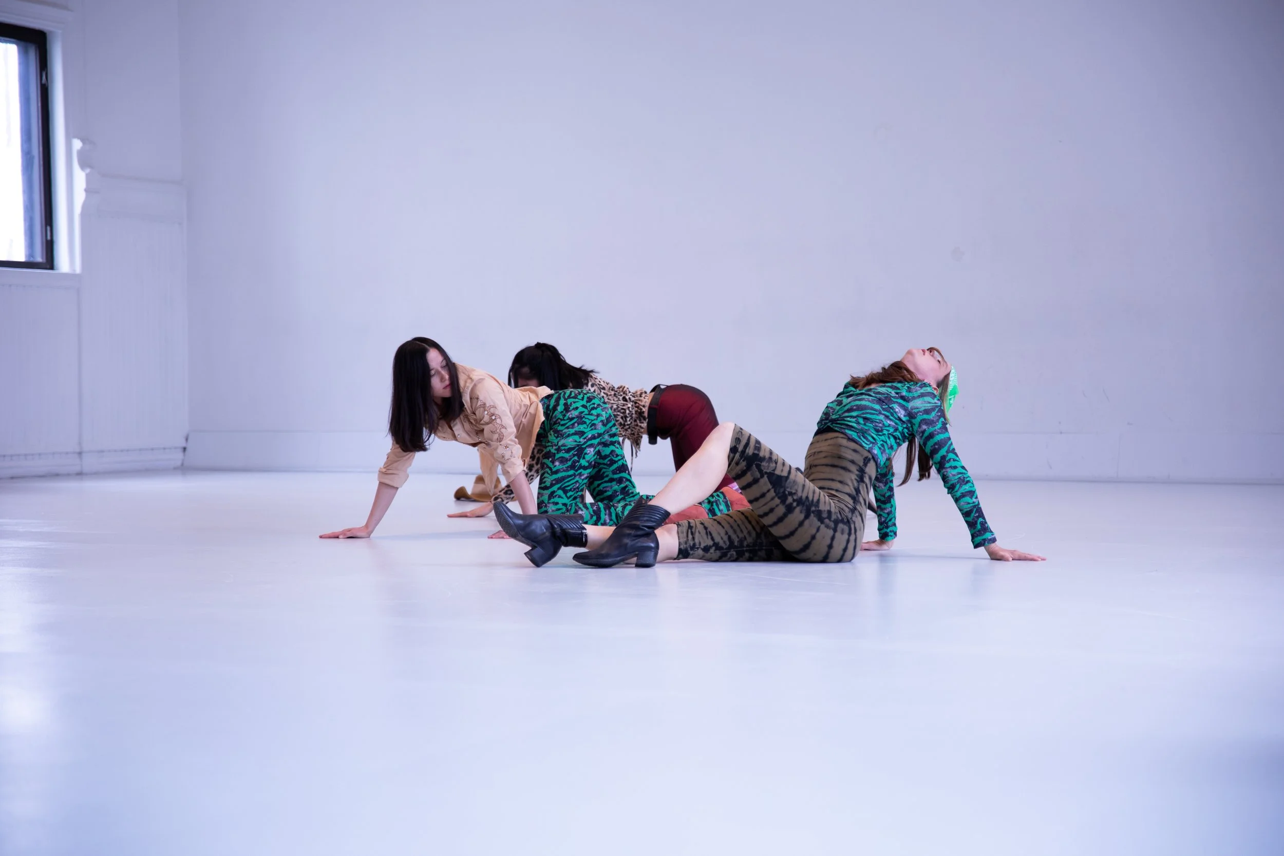  Photo: Sigrun Drivdal Johnsen 