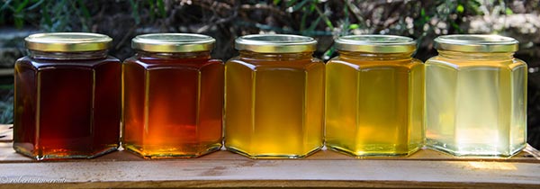 honey-colors.jpg