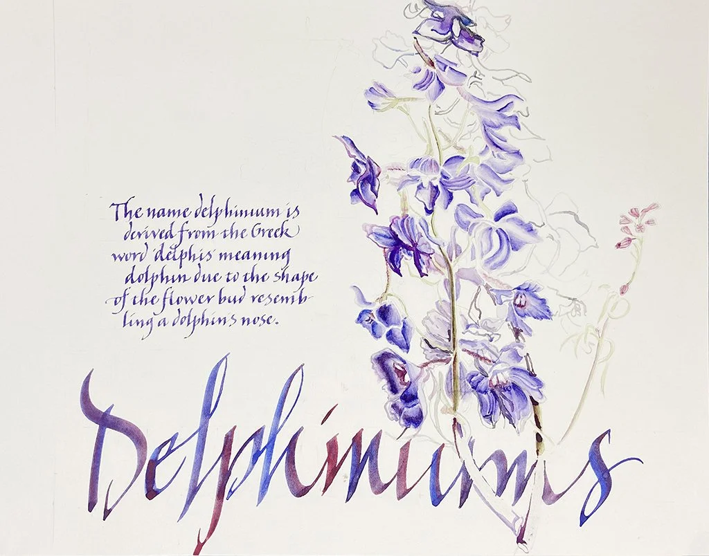 delphinium-calligraphy-sketchbook-page.jpg