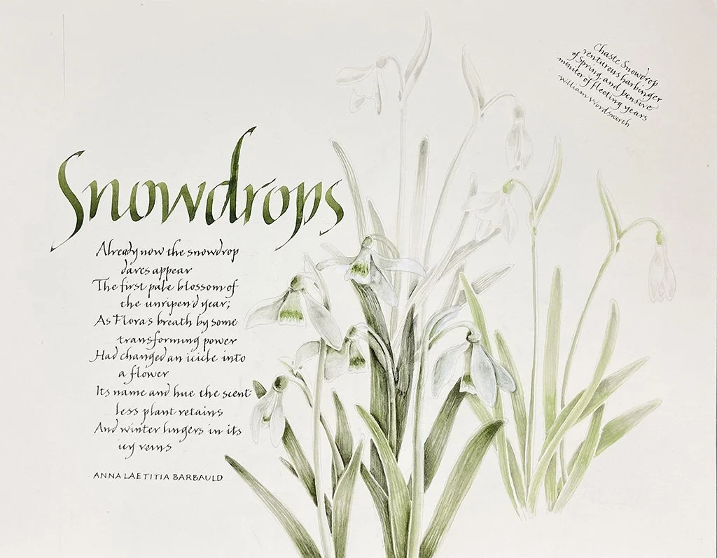 snowdrop-sketchbook-page.jpg