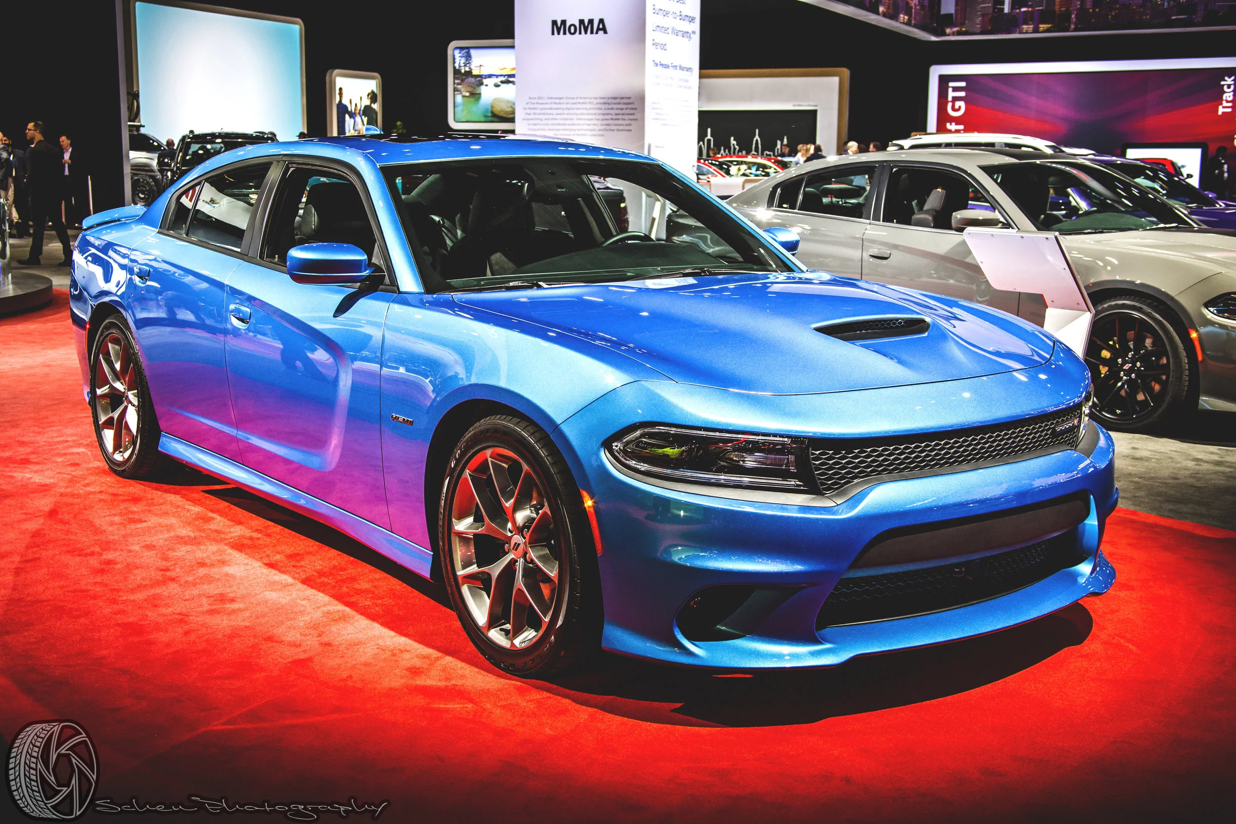 3Z6A1263.jpg