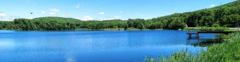 Spring Cocktail Party