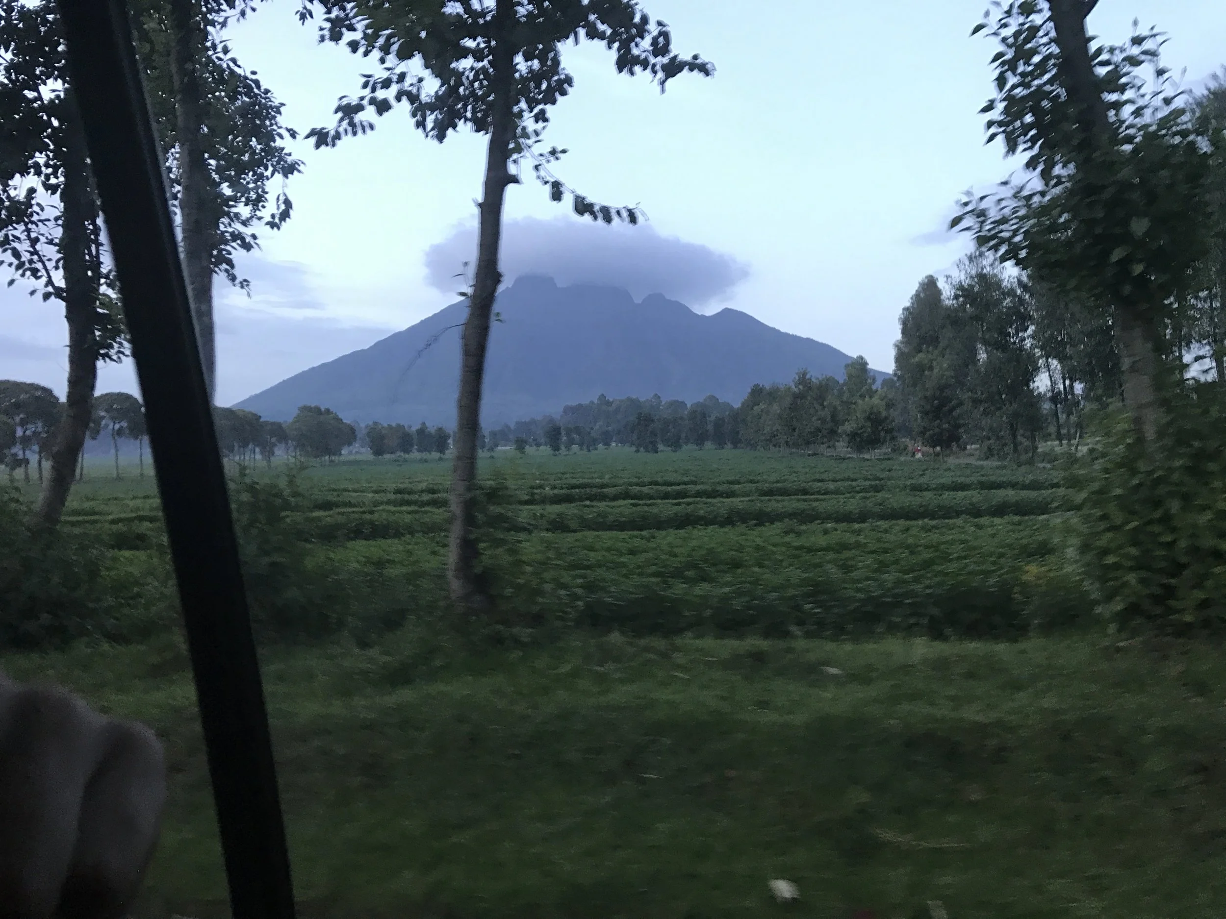 Volcanoes National Park - Virunga Mtns, Rwanda