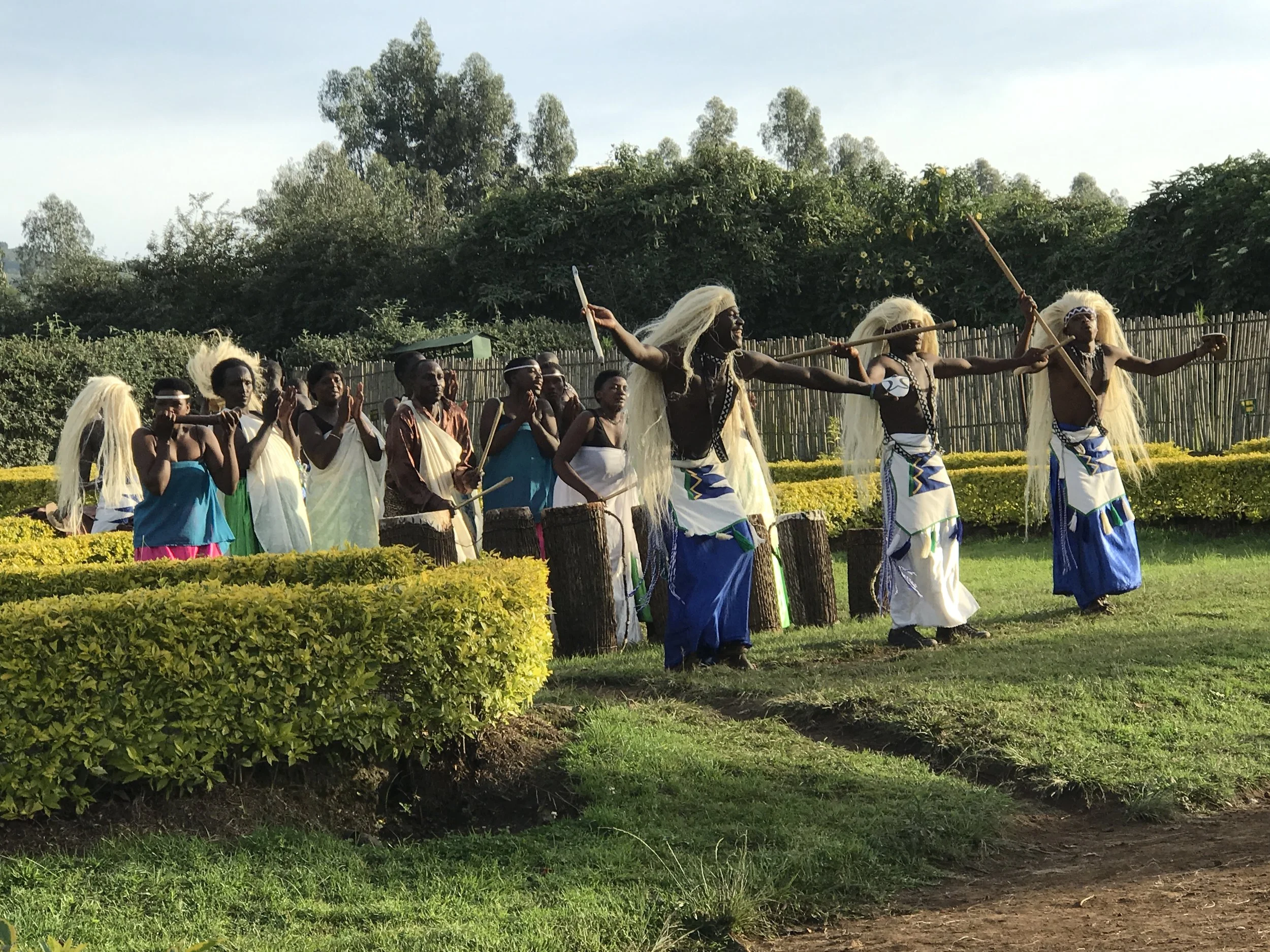 Welcome to Rwanda (Volcanoes national Park)