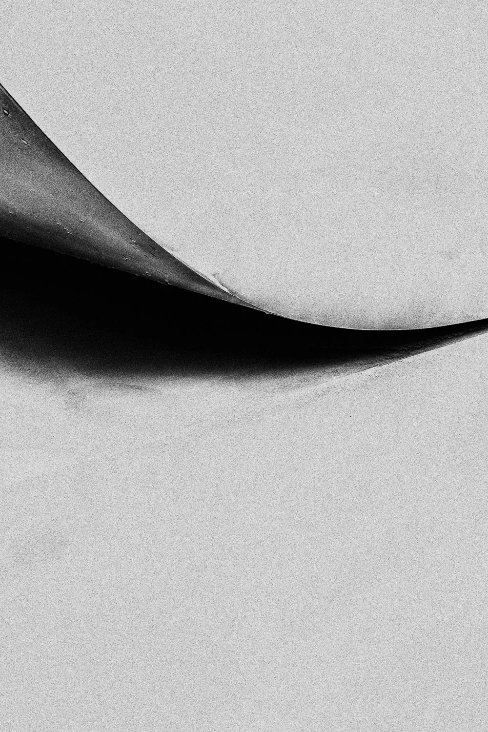 No. 7
