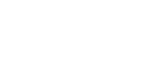 WNBA_logo.webp