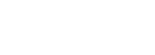 NianticLogo-Horizontal-Large.webp