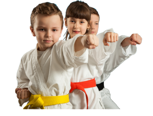 Karate-6-PNG.png