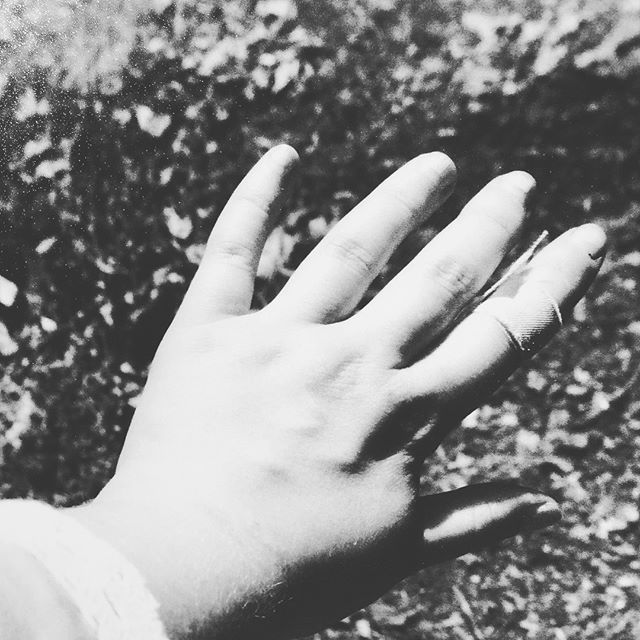 revisiting movements of the flesh ~~