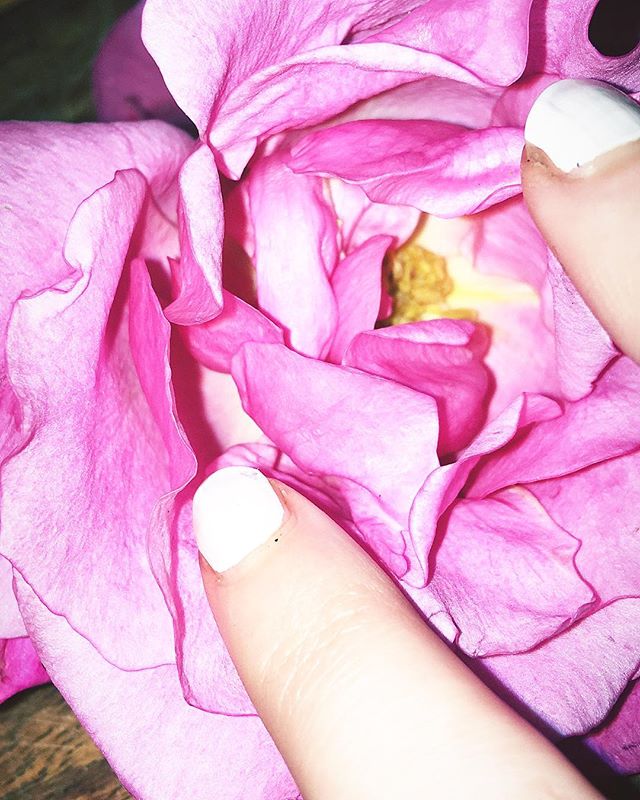 🌸💀🌸
