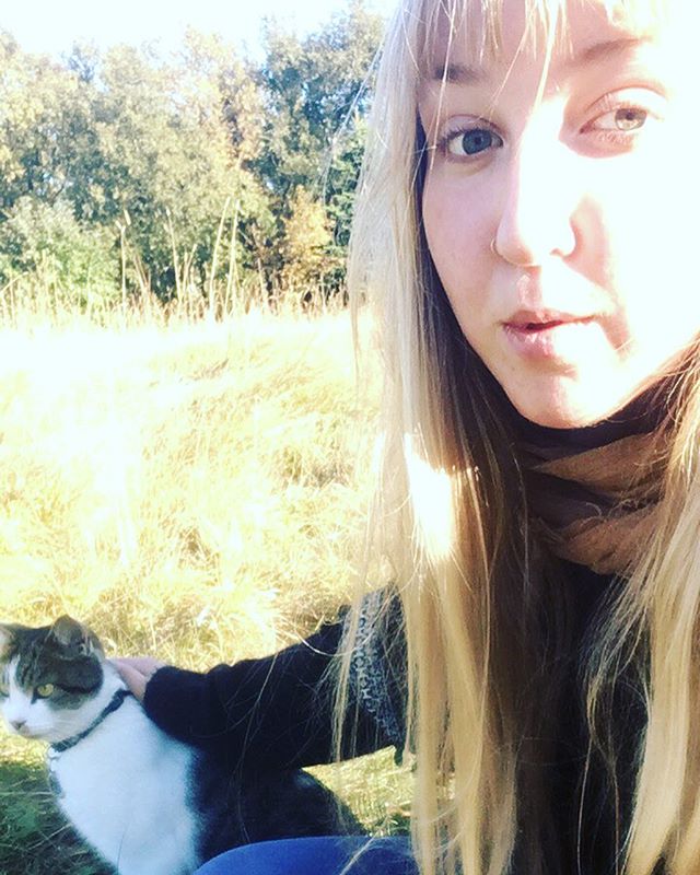 🌾🐈🐆