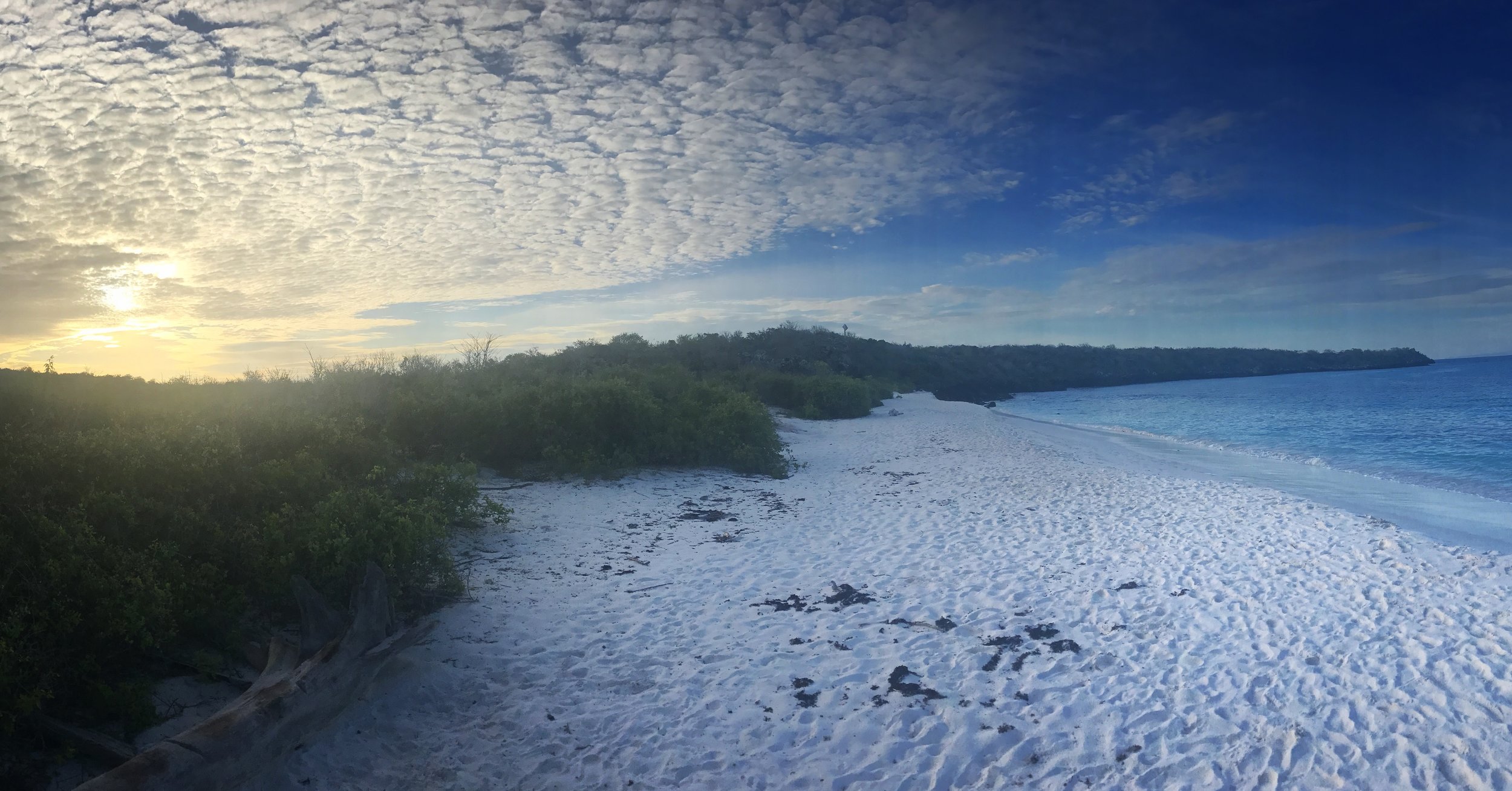 danielanavarro_panaroma.JPG
