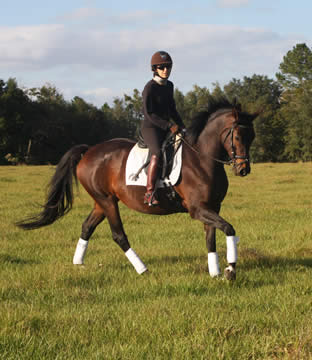 Kiki_2012Jan_8185.jpg