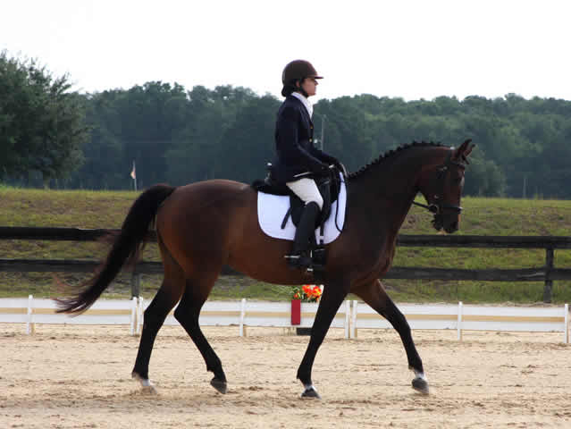 May2012Show 556_web.jpg
