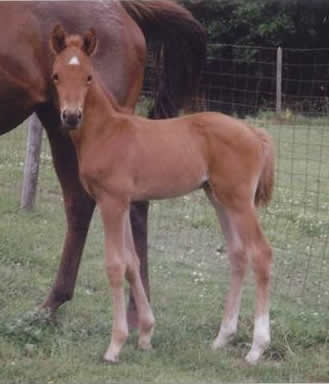 image002.jpg