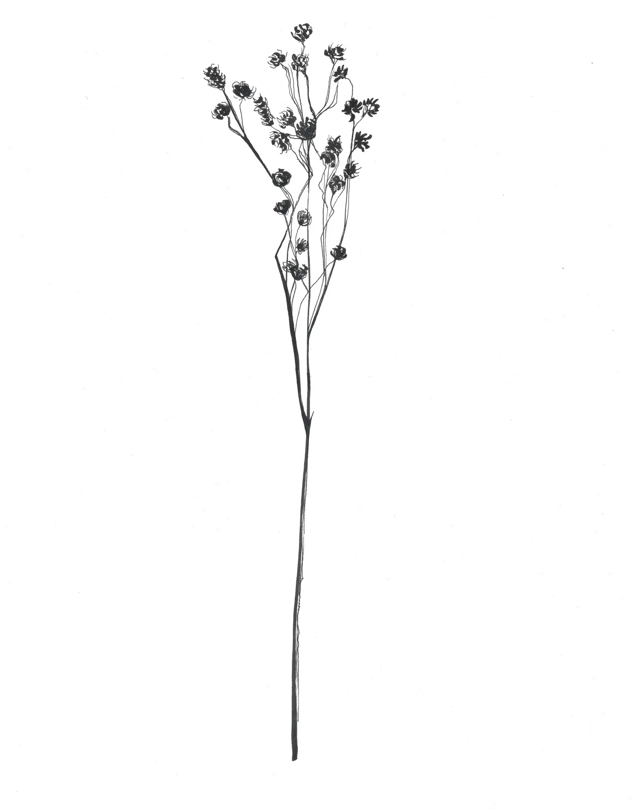 BW_1.jpg